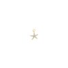 Charm estrella de mar plata dorada